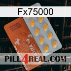 Fx75000 43